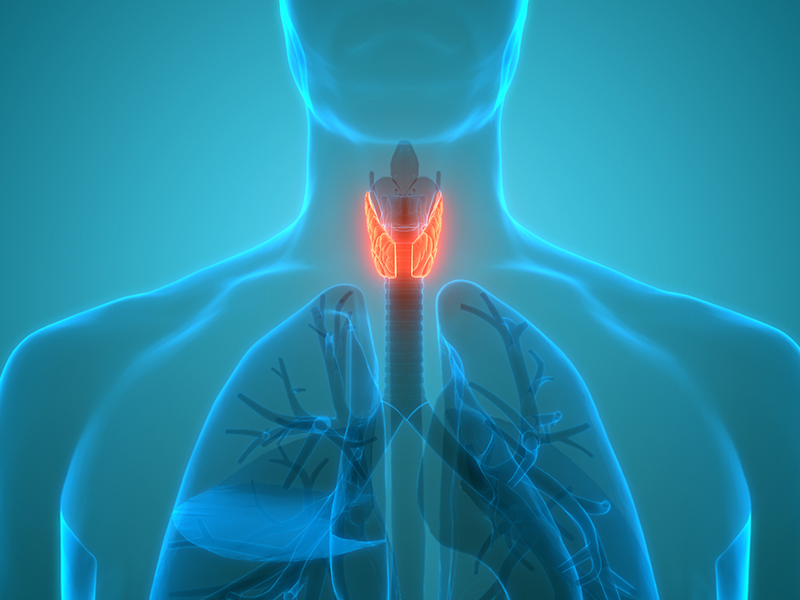 thyroid health awareness month