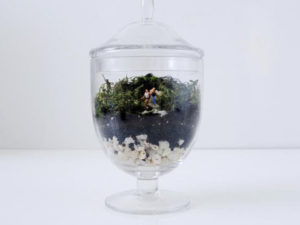 Easy Family Terrarium for National Craft Month