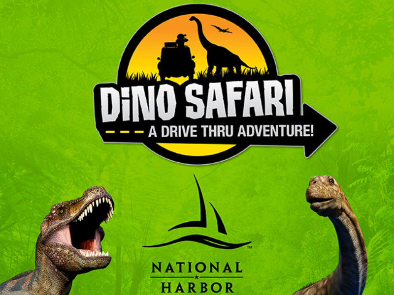 Dino Safari