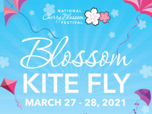 Blossom Kite Fly