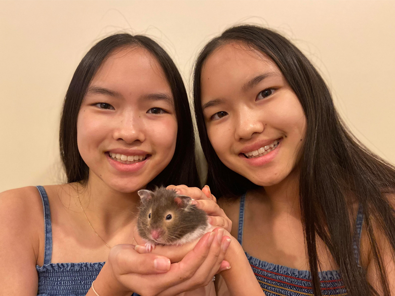 hamsters: misunderstood pets