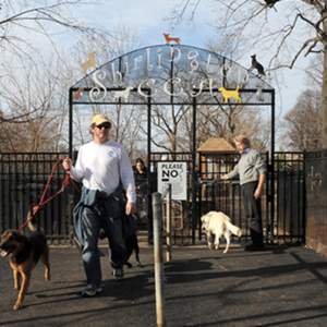 shirlington dog park