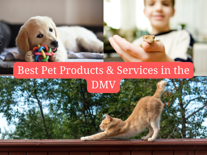 Best Pet Products & Services