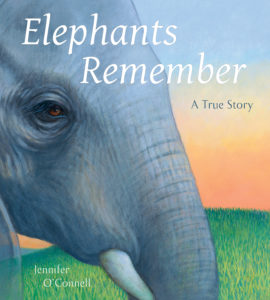 Elephants Remember By Jennifer O’Connell 