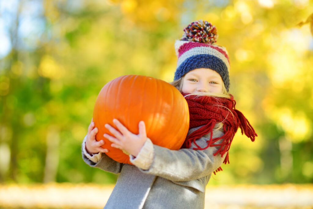 Best Pumpkin Patches in the DMV 2024