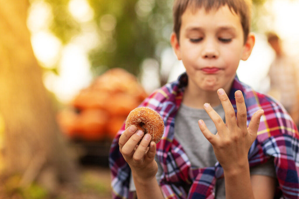 The Best Places to Buy Apple Cider Doughnuts in the DMV