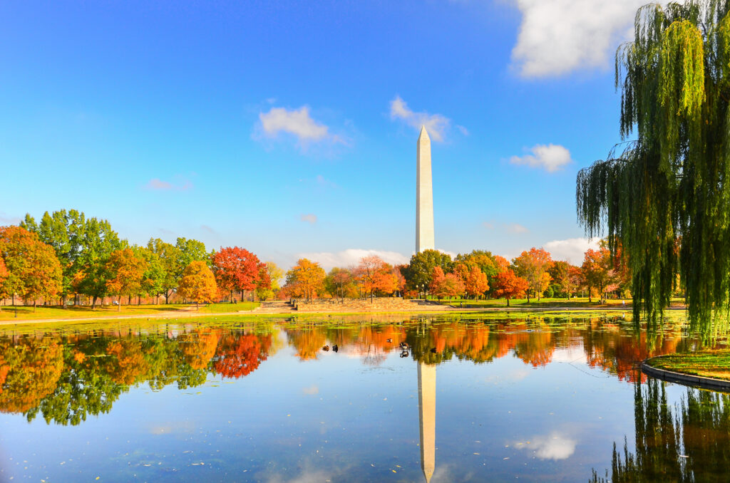 Top Things To Do in Washington DC and the DMV