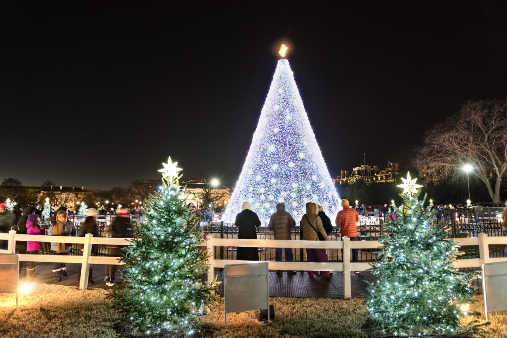 Christmas Lights Displays in the DMV