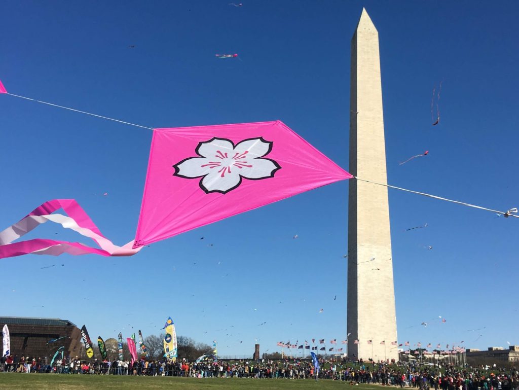 National Cherry Blossom Festival 2025: Fun in Full Bloom March 20-April 13 National Cherry Blossom Festival 2025: Fun in Full Bloom March 20-April 13