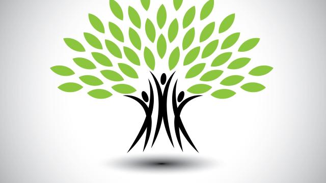 A Greener Family Fitness Routine: Where to Find Eco-Friendly Family Fitness Gear in the DMV