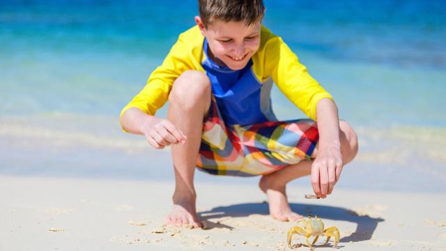 Family-Friendly Crabbing Spots Near DC and Where to Feast on Chesapeake Bay Crabs