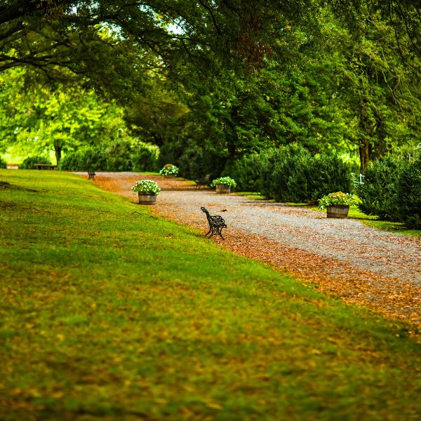 12 Beautiful Gardens Around the DC Area to Visit With Kids