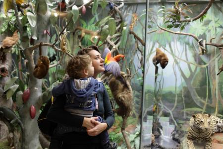 Favorite Museums for Kids in Washington DC Family looking at jungle in zoological museum. Favorite Museums for kids in DC
