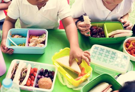 How to Help Your Child Pack a Healthy Day Camp Lunch They’ll Actually Eat How to Help Your Child Pack a Healthy Day Camp Lunch They’ll Actually Eat