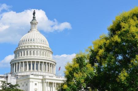 10 Best New Things to Do in Washington, DC This Summer Discover the best new attractions to see in Washington, DC this summer, from immersive museums and outdoor exhibits to reimagined public parks and pop-up events.