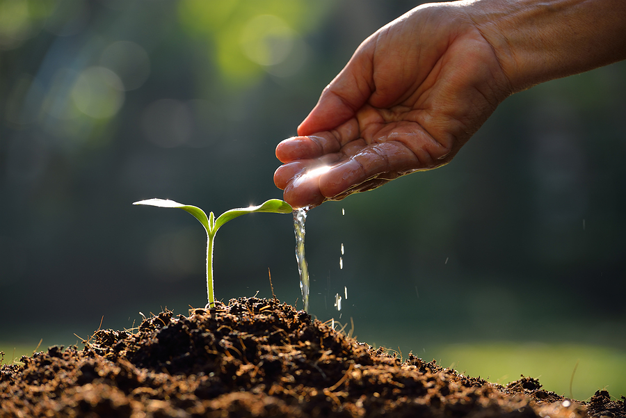 Planting Seeds of Growth: Lessons from an OT and Parent of Neurodivergent Children Planting Seeds of Growth: Lessons from an OT and Parent of Neurodivergent Children