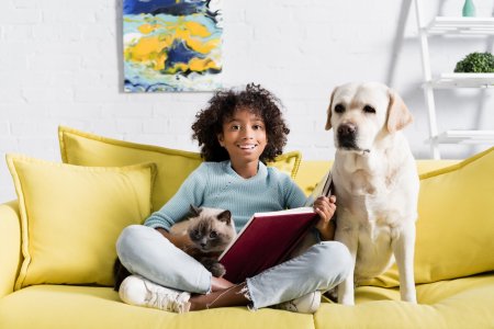 What to Read: Bow-Wow and Meow: Books About Dogs and Cats What to Read: Bow-Wow and Meow: Books About Dogs and Cats