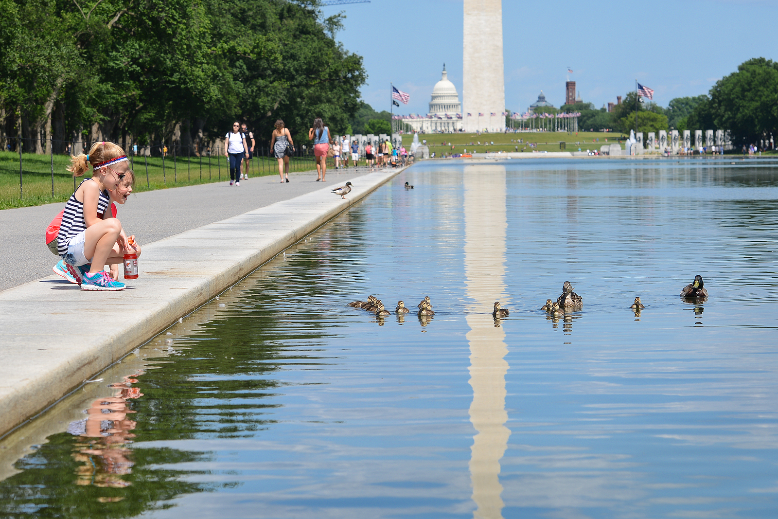Is Swimming in the Lincoln Memorial Reflecting Pool Actually Allowed?