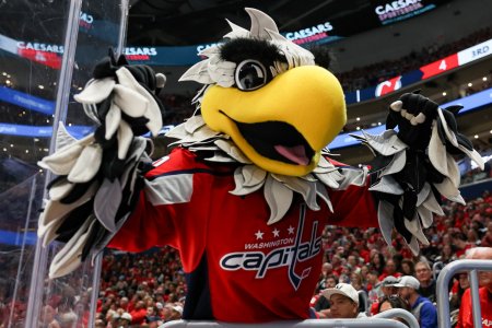Sports Guide: Taking Your Kids to a Washington Capitals Game Washington Capitals