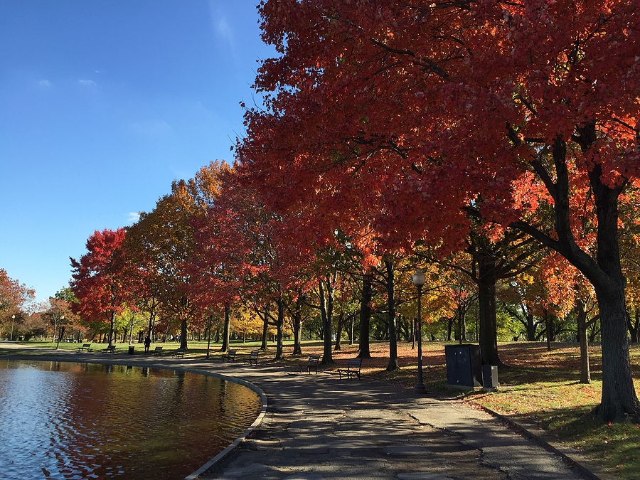 Explore the best activities and events to do with your family for free this November in DC, Maryland and Virginia.