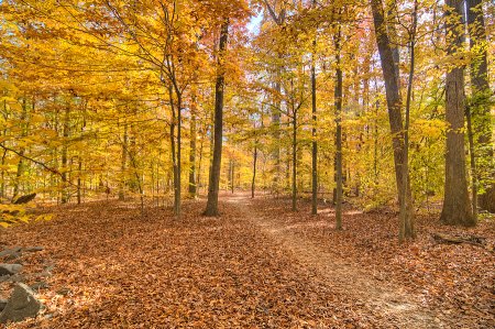 From a living history farm to an indoor playscape, here’s 10 family-friendly things to do in Fairfax, VA From a living history farm to an indoor playscape, here’s 10 family-friendly things to do in Fairfax, VA