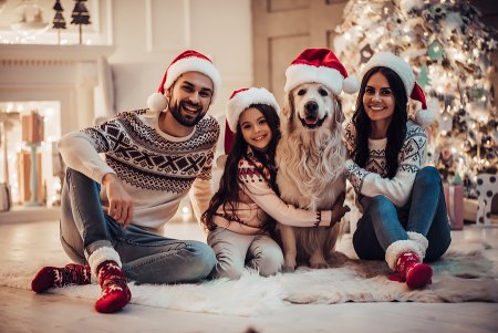 Magical holiday moments for you and your loved ones in the DC metro area Merry Christmas and Happy New Year! Happy family with dog labrador retriever are waiting for the New Year in Santa Claus hats while sitting near beautiful Christmas tree at home.
