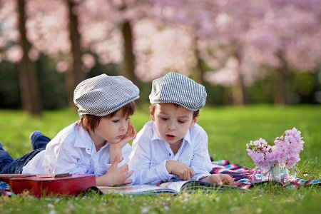The National Cherry Blossom Festival: Of Books and Blooms Beautiful portrait of two adorable caucasian boys reading a book in a cherry tree blooming garden spring afternoon kids lying on the grass on a blanket vase with flowers and guitar next to them