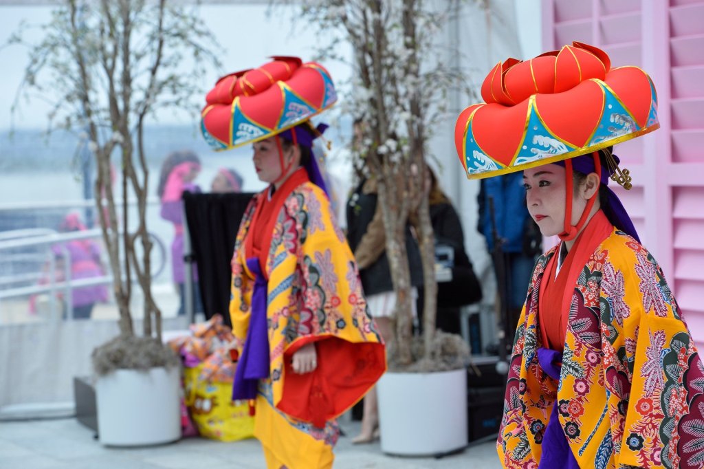 A family guide to local cherry blossom festivals and kid-friendly events across the DMV, from the National Mall to quieter suburbs in the metro.