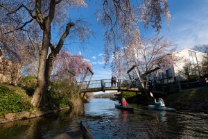 “Beyond the Basin” & Glorious Gardens – Fairfax County/Northern Virginia