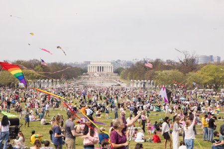 A Local Parent’s Insider Tips to the National Cherry Blossom Festival