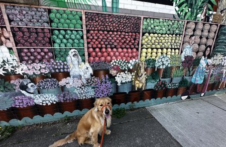 Exploring murals of the DMV: 12 colorful stops for kids and parents Picture courtesy of Teresa Markle, FemaleSoloTrek “Kids and Dogs” by Patrick Kirwin Alexandria, VA