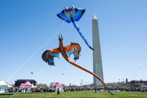Blossom Kite Festival