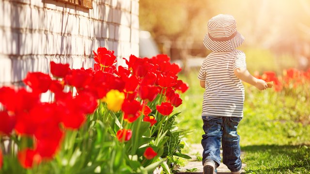 Family friendly events in the DMV