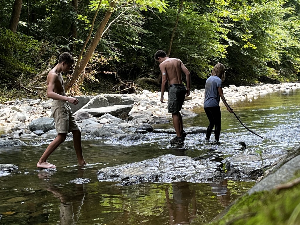 Beat the heat and explore the outdoors at these natural swim spots in the capital region Beat the heat and explore the outdoors at these natural swim spots in the capital region