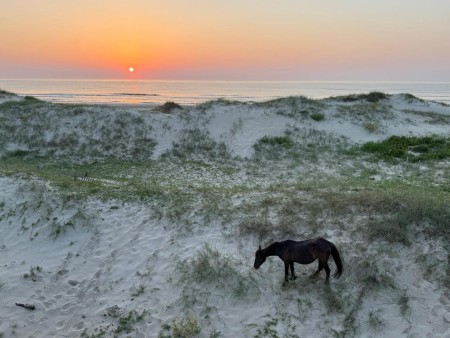 Rehoboth Beach, Delaware