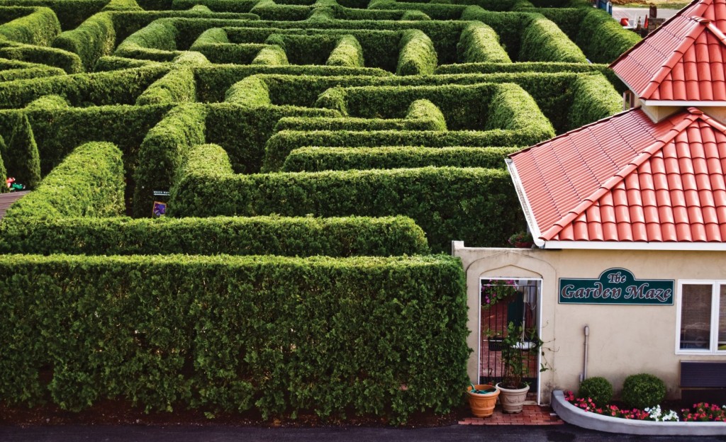 Tall hedges and winding pathways inside the Garden Maze at Luray Caverns.