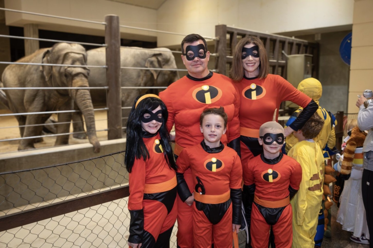A family of five in matching red superhero costumes poses in front of two elephants inside the Elephant Community Center during Boo at the Zoo at the Smithsonian's National Zoo.