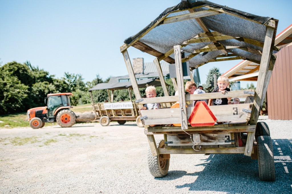 11 DMV fall festivals to add to your 2026 calendar Three young children smile from a covered hay wagon at Great Country Farms in Bluemont, Virginia